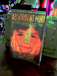 absorbent-mind-01