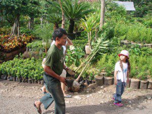 Florist carrying plants for their customers.