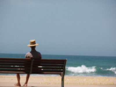 Man On The Bench